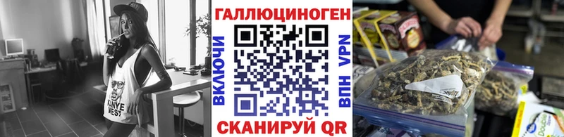 Псилоцибиновые грибы Cubensis  Тверь 